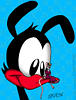 One as a mouse on Plucky's beak!