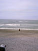 Watching the ocean...