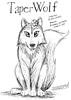 One in zoomorphic wolf form.